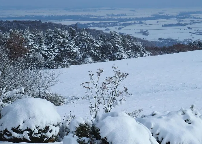 Апартаменты Au Bouillat D Anty Шатель-Гийон